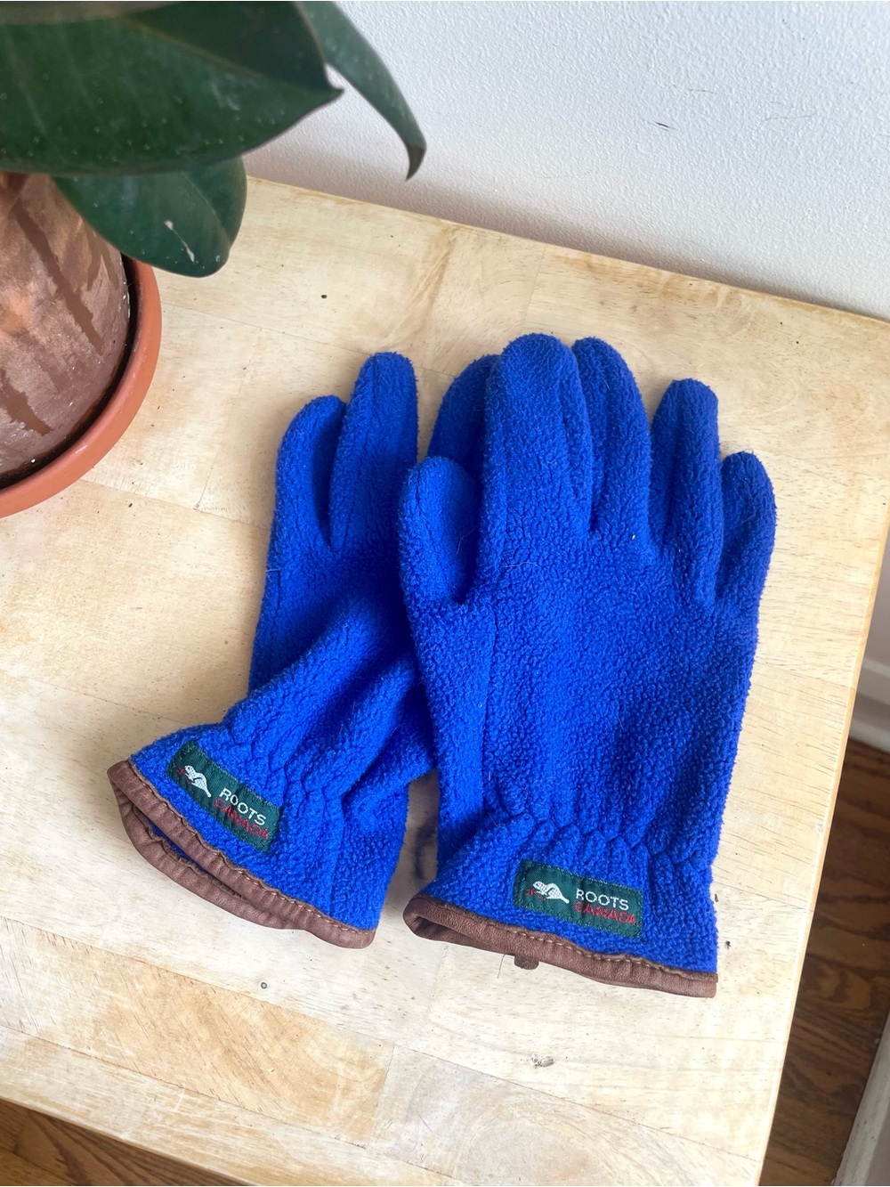 Vintage Roots Blue Fleece Gloves